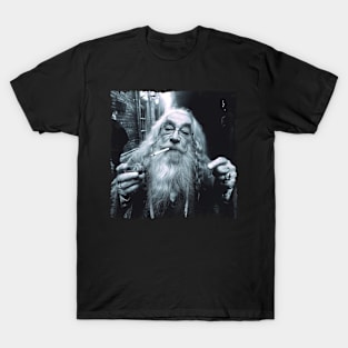 Stoned Wizard Old Man Magician Real Life T-Shirt